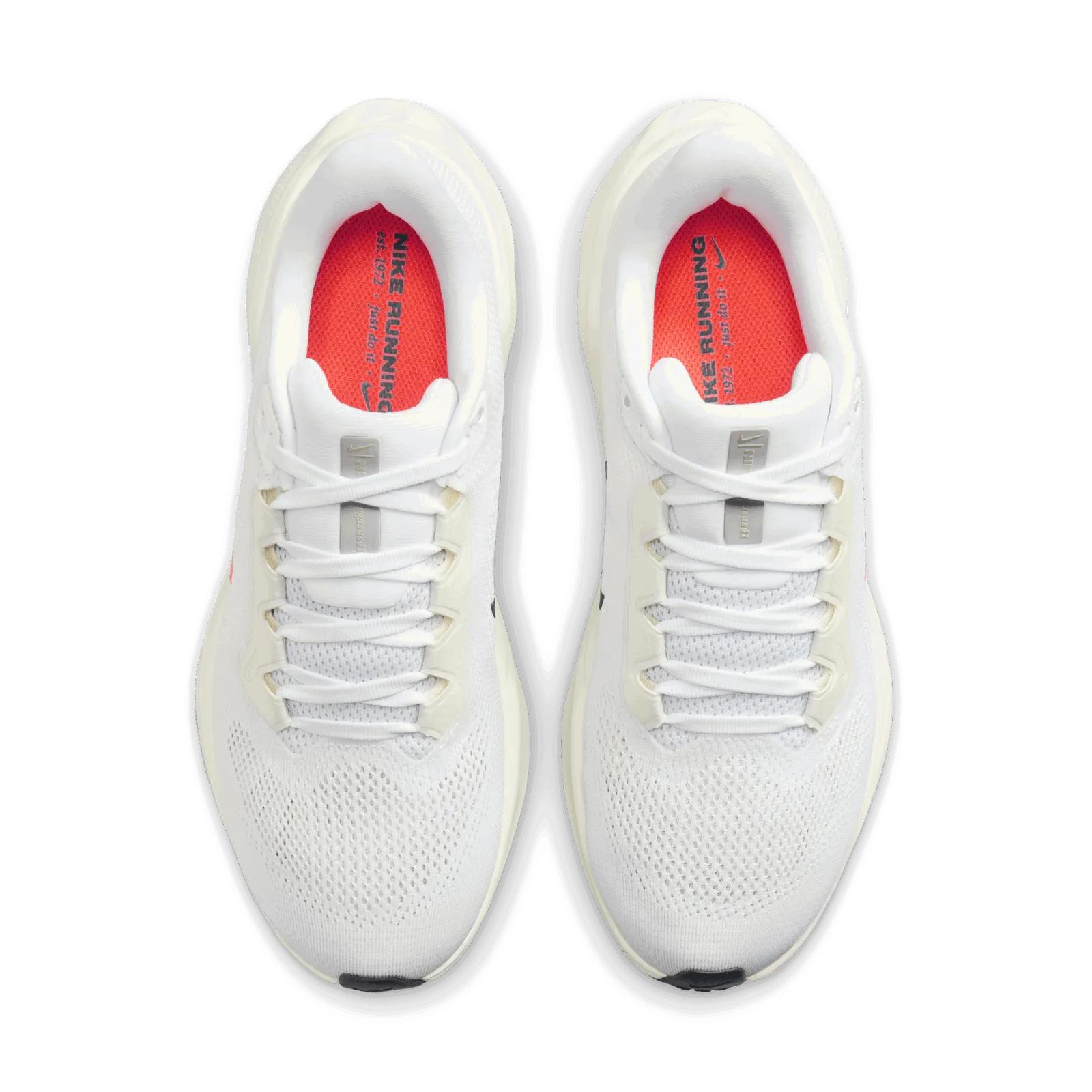 Nike Pegasus 41 PQ HF4301-100